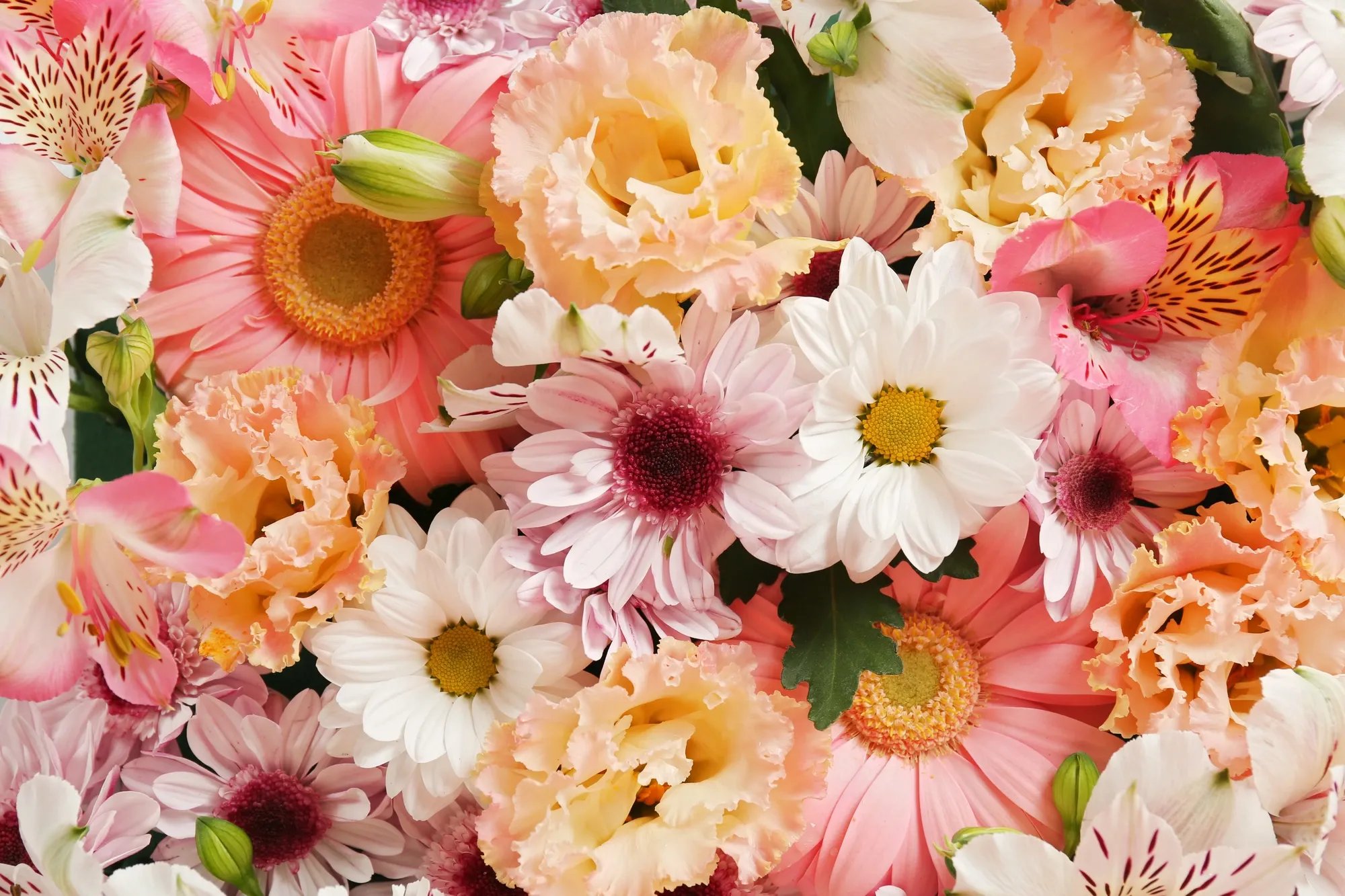 Alta Blomster og Dekor